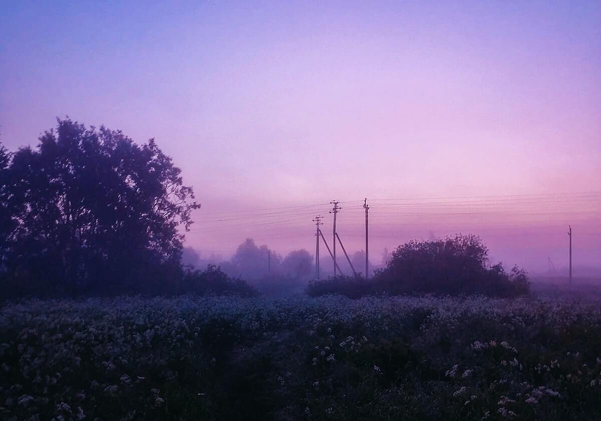 新加坡28预测-拉里贾尼称已有超过500名美国军人丧生